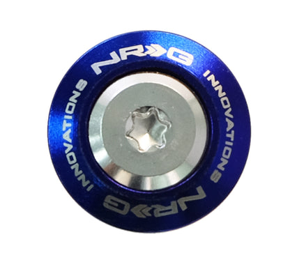 NRG Fender Washer Kit (TI Series) M6 Bolts/SS For Plastic (Silver Washer/TI Burn Screw) - Set of 10 FW-200TS FW-200TS Photo - Primary