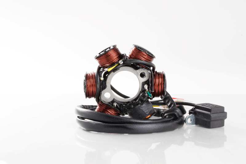 Ricks Motorsport Electrics Ricks Motorsport New OEM Style Can-Am Stator 21-061 21-061 User 1