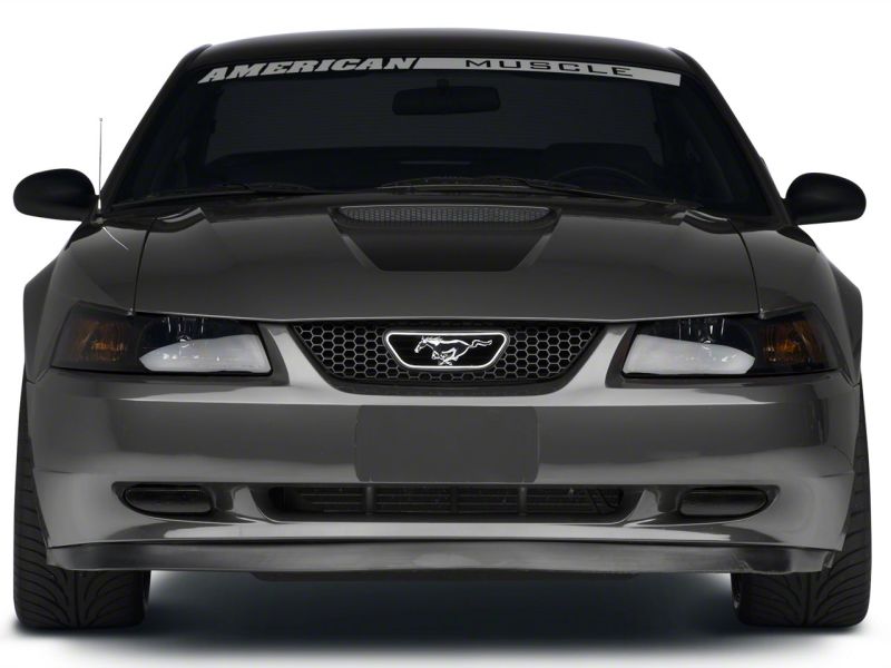 Raxiom 99-04 Ford Mustang Excluding Cobra Fog Lights- Smoked 49139 49139 Photo - Close Up