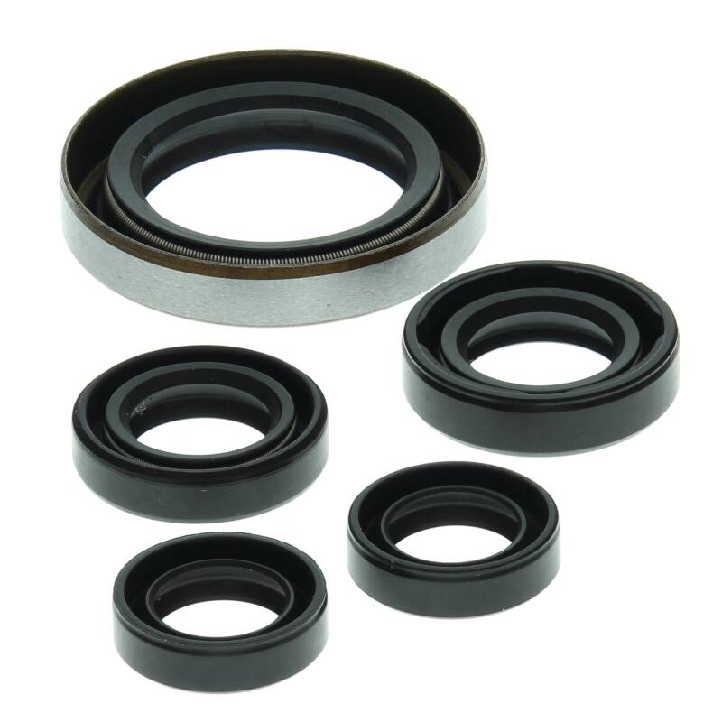 Vertex Pistons Vertex Gaskets 06-07 Polaris Outlaw 500 Oil Seal Kit 822249 822249 Photo - Primary