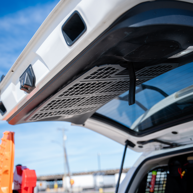 Cali Raised LED Cali Raised Rear Hatch Molle Panel Fit 10-24 Toyota 4Runner CR4040 CR4040 Photo - Primary