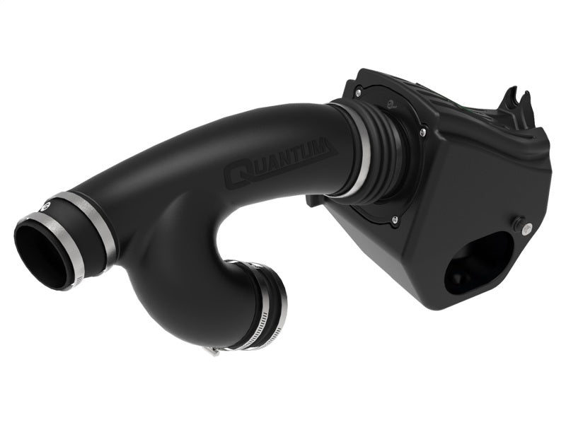 aFe Quantum Pro DRY S Cold Air Intake System 15-18 Ford F150 EcoBoost 53-10008D Photo - Unmounted
