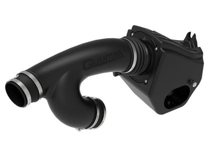 aFe Quantum Pro DRY S Cold Air Intake System 15-18 Ford F150 EcoBoost 53-10008D Photo - Unmounted