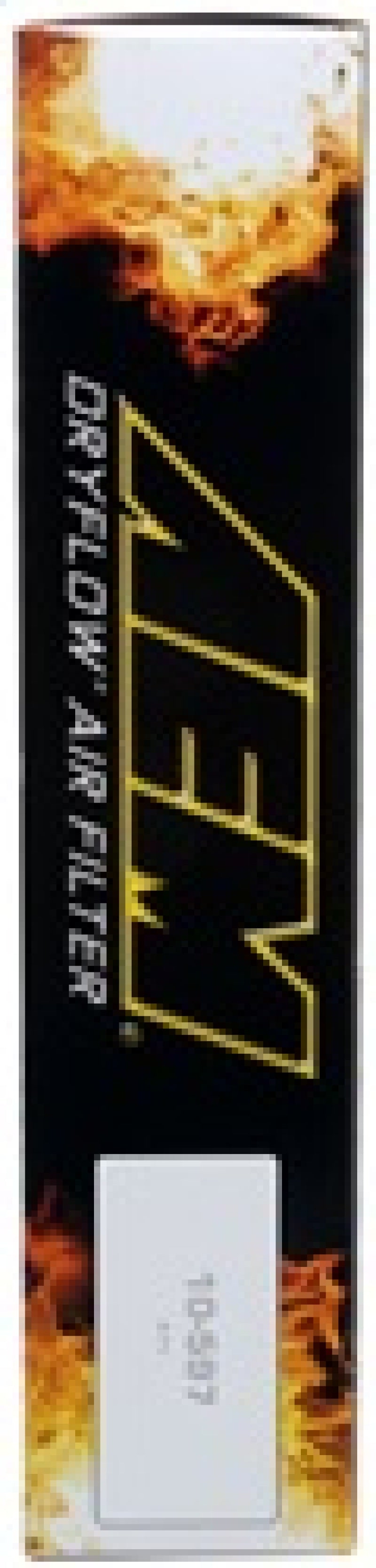 AEM Induction AEM 16-17 Honda Pilot V6-3.5L F/l DryFlow Air Filter 28-50041 28-50041 Photo - in package