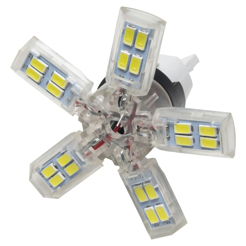 ORACLE Lighting Oracle 7440 24 SMD 3 Chip Spider Bulb (Single) - Cool White 5110-001 5110-001 Photo - lifestyle view
