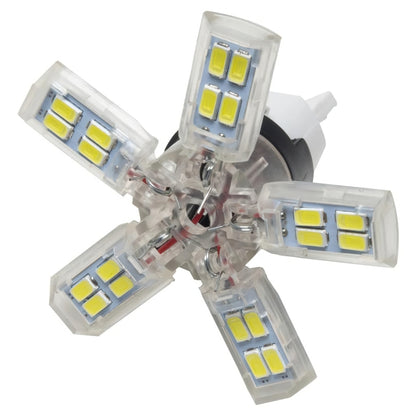 ORACLE Lighting Oracle 7440 24 SMD 3 Chip Spider Bulb (Single) - Cool White 5110-001 5110-001 Photo - lifestyle view
