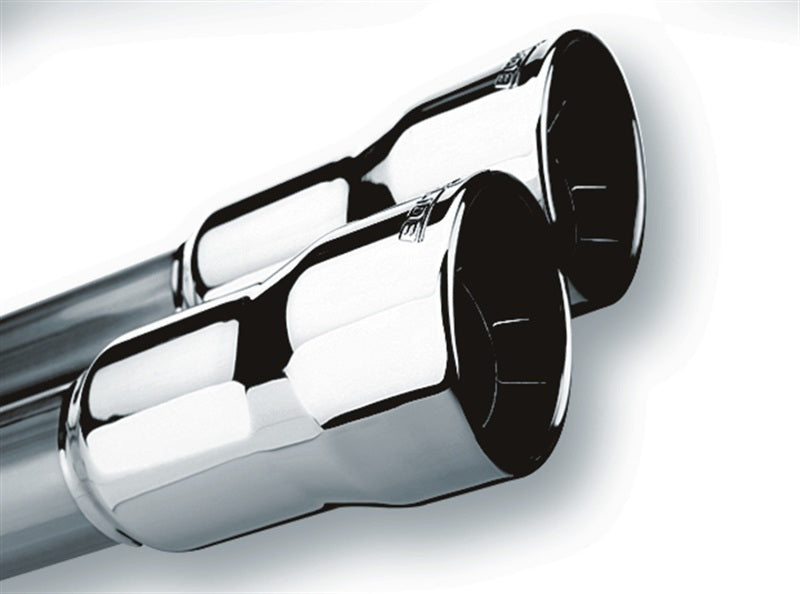 Borla Universal Polished Tip Dual Round Rolled Angle-Cut (inlet 2in. Outlet 3in) *NO Returns* 20143 20143 Photo - Primary