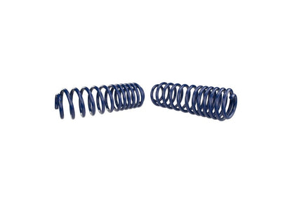 Ford Performance Parts Ford Racing 2007-2014 Mustang Shelby GT500 Springs M-5300-L Photo - Unmounted