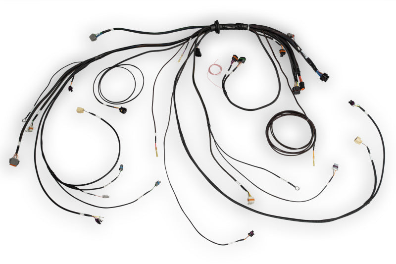 Haltech NEXUS Rebel LS Terminated Harness for ECU HT-186500 HT-186500 User 1