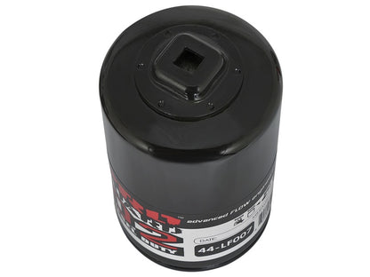 aFe Pro GUARD D2 Oil Filter (4 Pack) Ford Trucks 97-08 V6-4.2L; V8-4.6L 44-LF007-MB Photo - Unmounted
