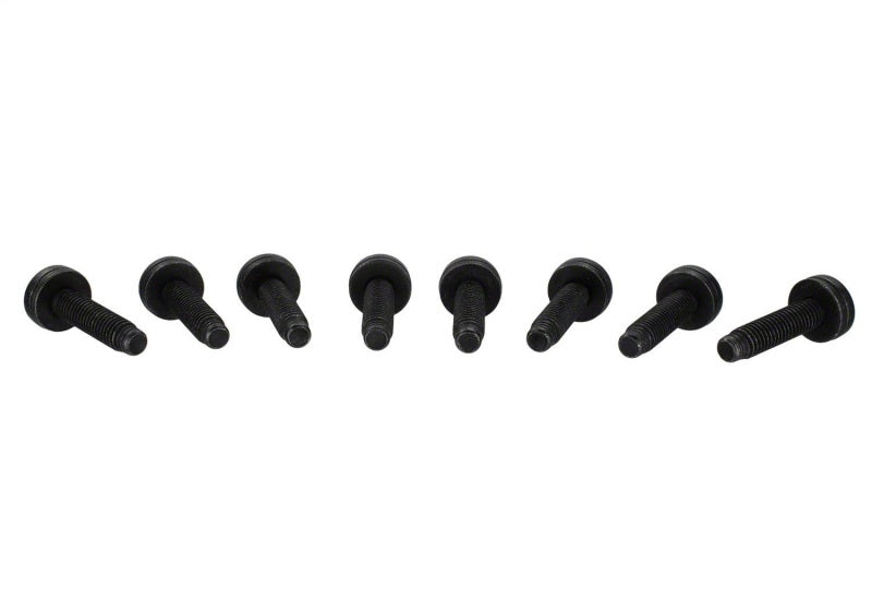 Ford Racing Bronco Tube Door Replacement Grab Handle M-19008-BTDG M-19008-BTDG Photo - Unmounted