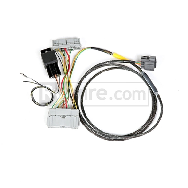 Rywire 01-05 Honda Civic K-Series Conversion Chassis Adapter Harness RY-K-EM2 RY-K-EM2 Photo - Primary