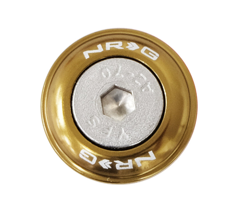 NRG Fender Washer Kit w/Rivets For Plastic (Titanium) - Set of 10 FW-100TI FW-100Ti Photo - Primary