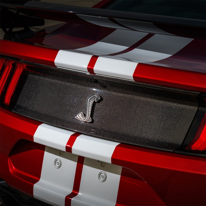 Ford Racing 20-21 Mustang GT500 Deck Lid Trim Panel M-16600-MCF M-16600-MCF Photo - Mounted