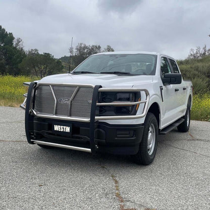 Westin 21-22 Ford F-150 (Excl. Raptor/Platinum) HDX Grille Guard - SS 57-4060 57-4060 Photo - Mounted