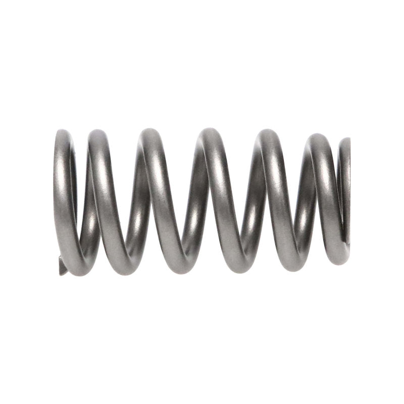 Manley Performance Manley Ford/Mazda 2.0L/2.3L/2.0L 16pc Valve Spring Kit 22200-16 22200-16 User 2