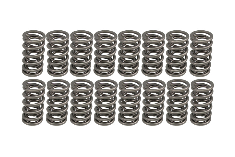 COMP Cams 1.301in OD Dual Springs 1.900in Installed Height (Set of 16) 26527-16 26527-16 Photo - Primary