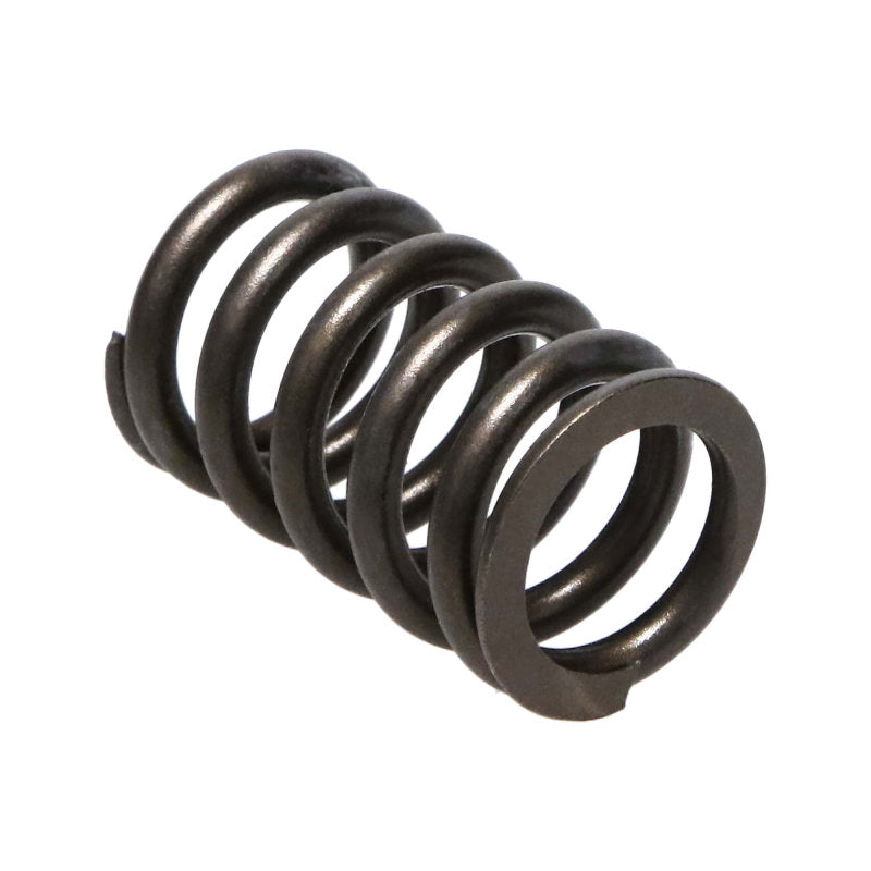 Manley Honda (K20A3 K24A) 16pc Valve Springs 22145-16 22145-16 Photo - Primary