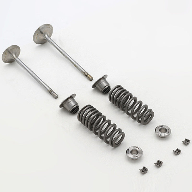 Ford Racing 5.2L Cylinder Head Valve Train Kit M-6505-FP350S M-6505-FP350S User 1