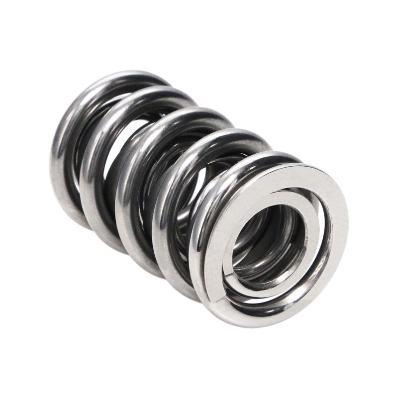 Manley Performance Valve Springs -1440 Polished 221440P-16 Photo - Primary