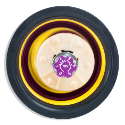 KW Coilover Kit V3 Audi A5 (B9) Sportback Quatro w/EDC 352100AU 352100AU User 4