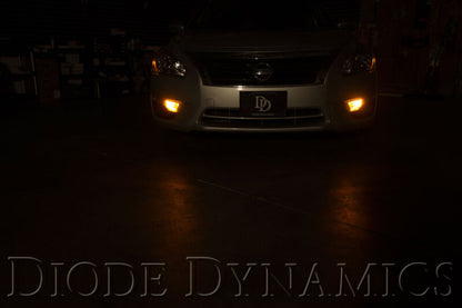 Diode Dynamics 7443 LED Bulb XP80 LED - Amber (Pair) DD0114P DD0114P User 2