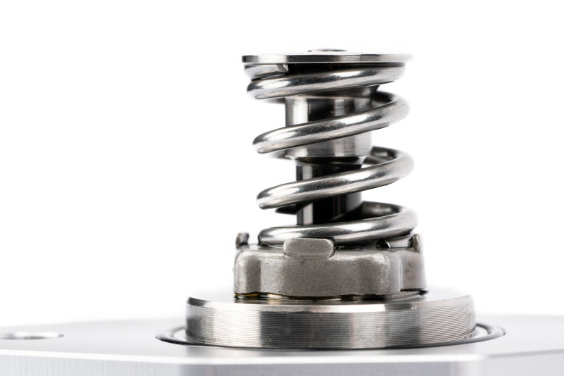 AMS Performance VR30DDTT Stage 2 High Pressure Fuel Pump ALP.28.07.0001-3 ALP.28.07.0001-3 User 1