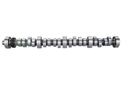 Ford Performance Parts Ford Racing Small Block V-8 Hydraulic Roller Tappet Camshafts M-6250-B303 Photo - Unmounted