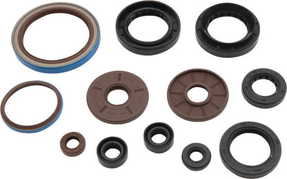QuadBoss 09-10 Arctic Cat 1000 TRV Oil Seal Set 564644 564644 Photo - Primary