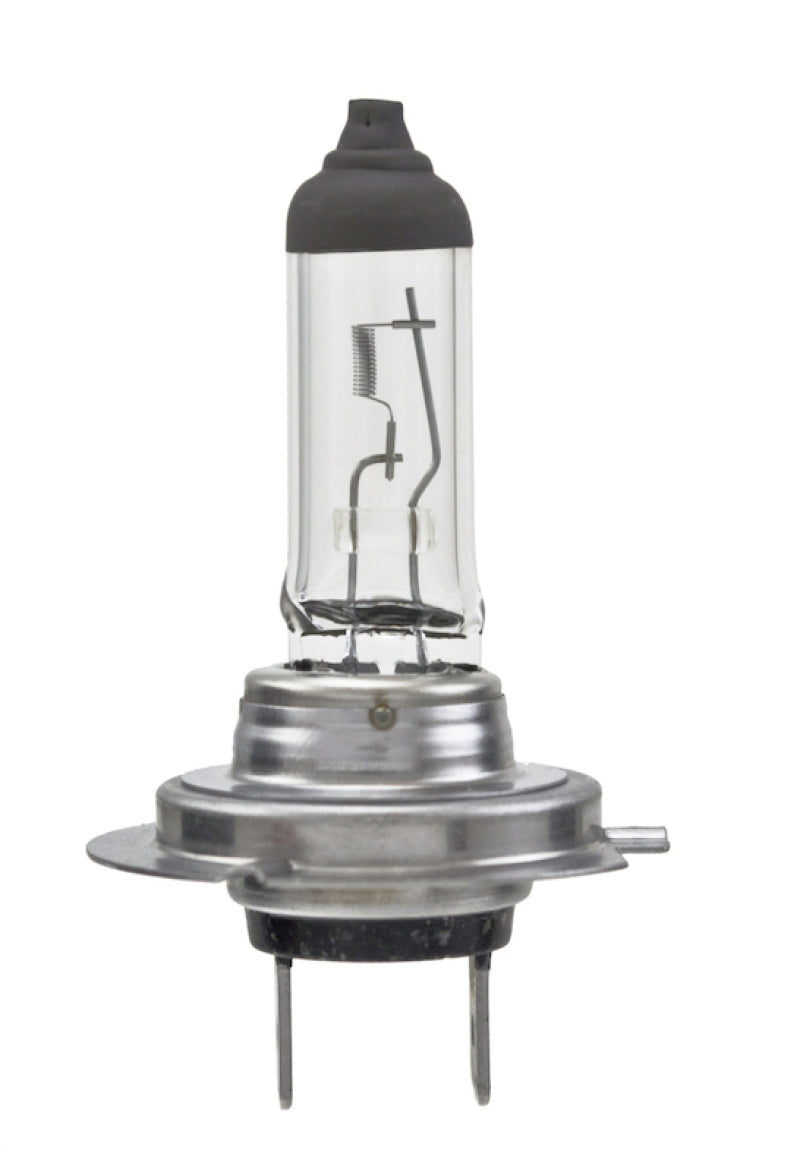 Hella High Wattage Bulb H7 12V 100W PX26d T4.6 (Pair) H7 100WTB H7 100WTB Photo - Primary