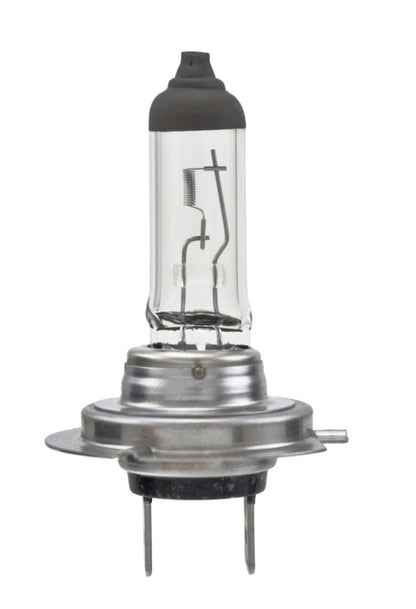 Hella High Wattage Bulb H7 12V 100W PX26d T4.6 (Pair) H7 100WTB H7 100WTB Photo - Primary