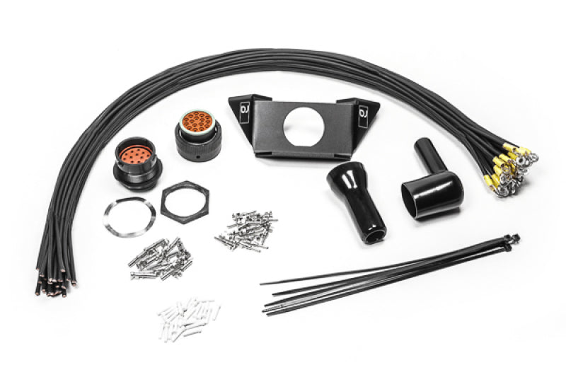 Radium Engineering Fuel Cell Subharness Kit for FCST-X (or FCST) 20-0774 20-0774 Photo - Primary