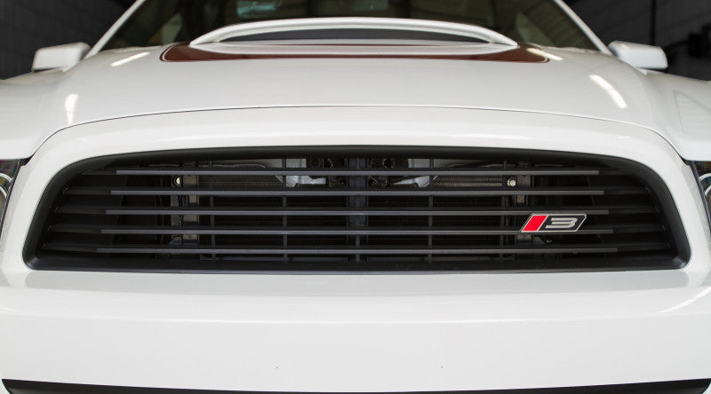 ROUSH 2013-2014 Ford Mustang 3.7L/5.0L Black Upper Grille Kit 421392 421392 Photo - Primary