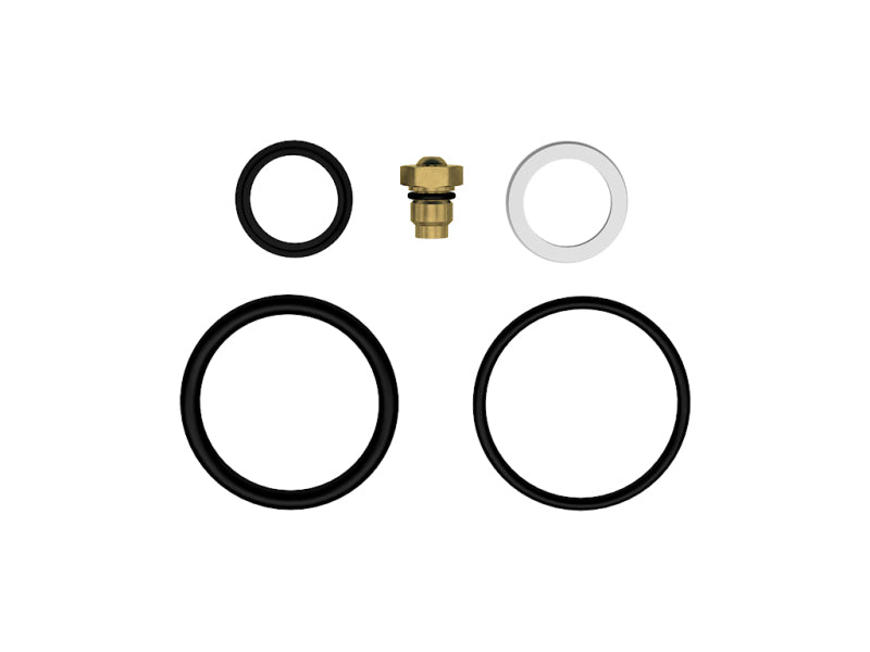 ICON 2.5 IFP Rebuild Kit - Viton 252010-V 252010-V Photo - Primary