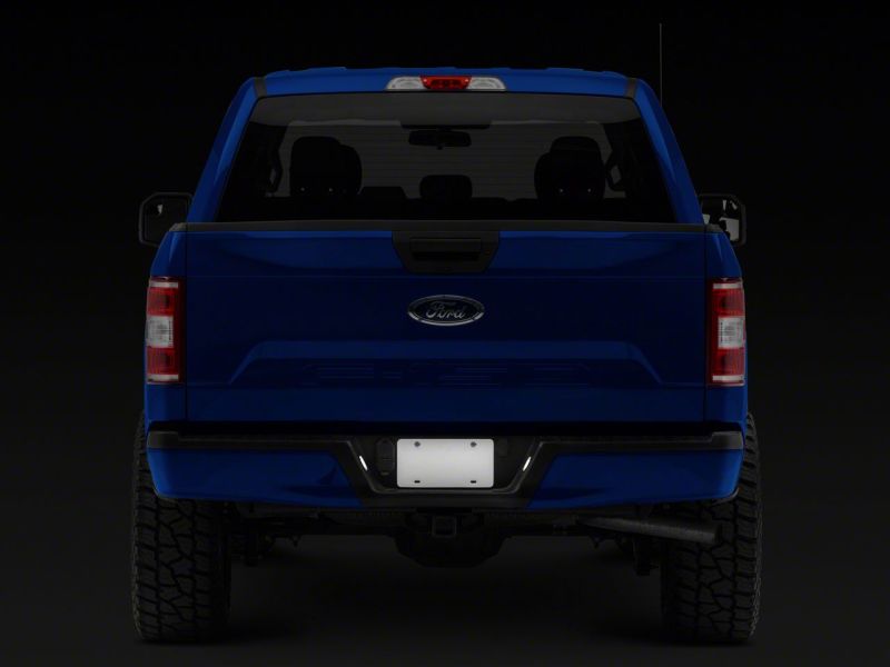 Raxiom 15-23 Ford F-150 Axial Series LED License Plate Lamps T542565 T542565 Photo - Close Up
