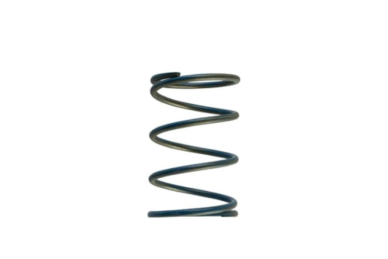 Turbosmart Gen-V WG45/50 14psi Blue Outer Spring TS-0550-3088 TS-0550-3088 Photo - Primary