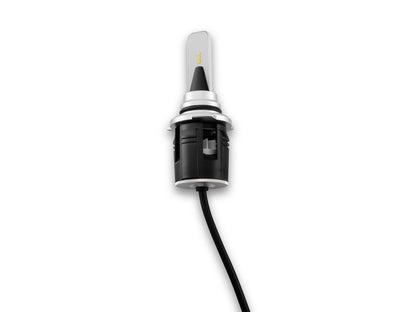 Raxiom Axial Series LED Headlight/Fog Light Bulbs H10 U1423 U1423 Photo - Close Up