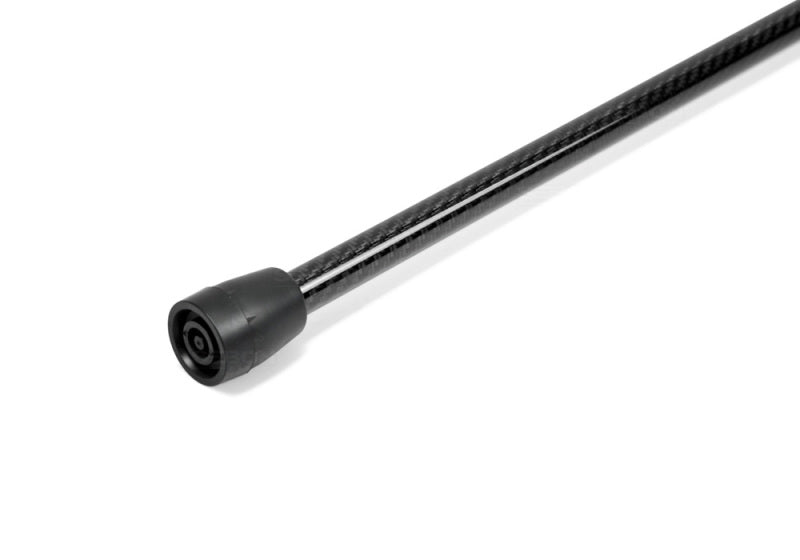 Seibon Carbon Fiber Hood Prop HOODPROP-S Photo - Primary