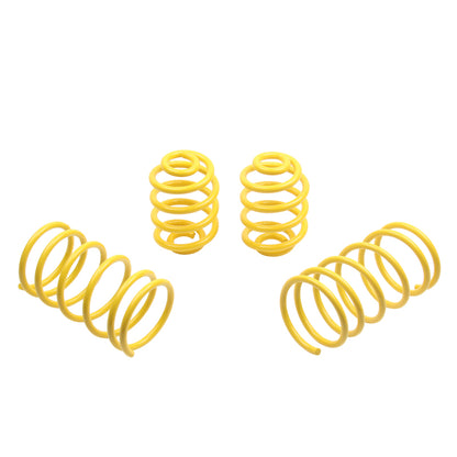 ST Sport-tech Lowering Springs BMW E30 Sedan+Coupe; Strut 1.8 / 45mm 65202 65202 User 3