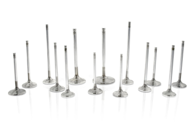 Ferrea 08-12 Honda Accord LX K24Z2 I-VTEC 28mm Head 5.48mm Stem Dia Comp Plus Intake Valve- Set of 8 F2445P F2445P User 1