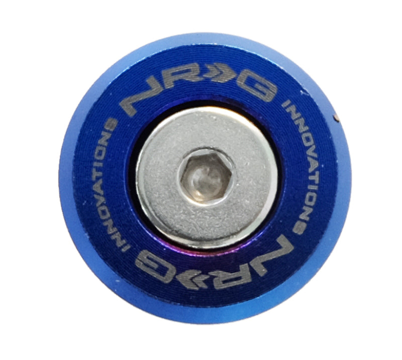 NRG M-Style Fender Washer Kit (TI Series) M6 Bolts For Plastic (TI Brn Wshr/Silver Scrw) - Set of 10 FW-300TS FW-300TS Photo - Primary