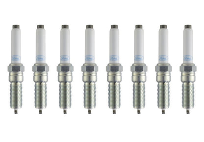 Ford Racing Performance 5.0L VDE Coyote Cold Spark Plug Set M-12405-50VDE M-12405-50VDE Photo - Primary