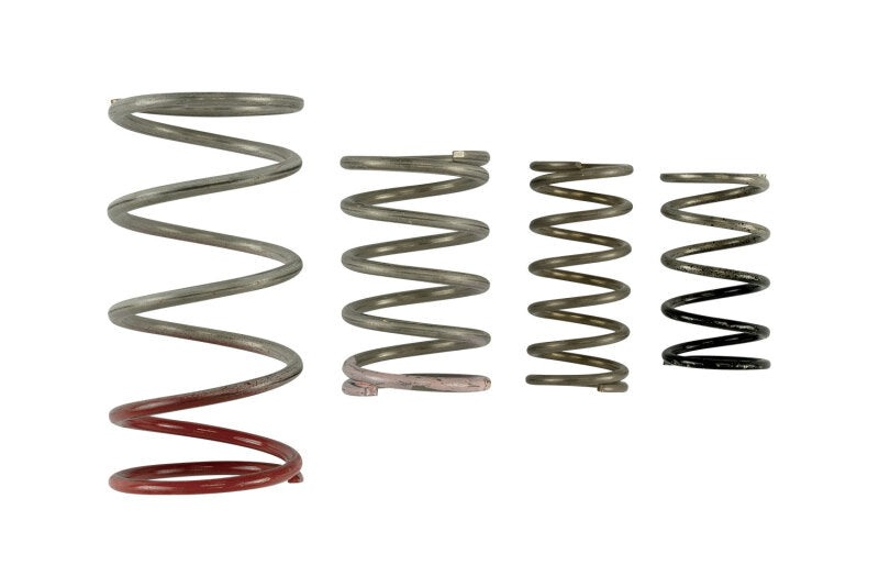 Turbosmart Gen V IWG Spring Replacement Kit TS-0600-2011 TS-0600-2011 Photo - Primary