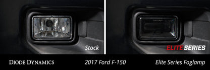 Diode Dynamics Elite Foglamp Type F2 - Yellow (Pair) DD5174P DD5174P User 6