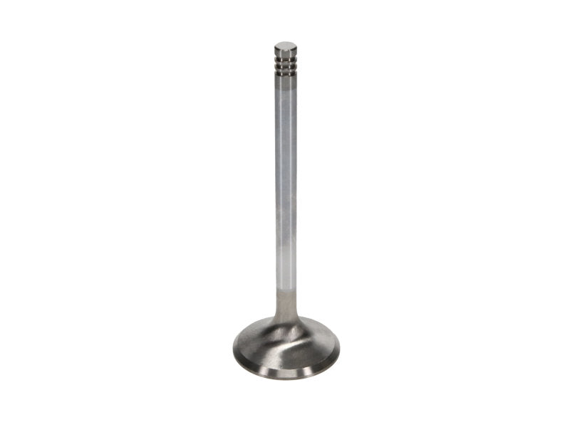 Manley Chrysler Hemi 6.1L w/ Triple Groove 1.625in Race Master Exhaust Valves (Single) 11671-1 11671-1 User 2