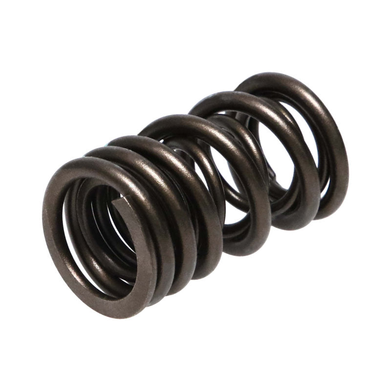 Manley Honda (F20C F22C) 16pc Valve Springs 22150-16 22150-16 Photo - out of package