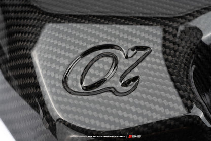 AMS Performance 15-18 BMW M3 / 15-20 BMW M4 w/ S55 3.0L Turbo Engine Carbon Fiber Intake AMS.39.08.0001-1 AMS.39.08.0001-1 User 1