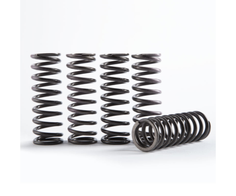 Hinson Clutch Clt Sprn Kt High Tmp St 5 CS341-5-0311 CS341-5-0311 User 1