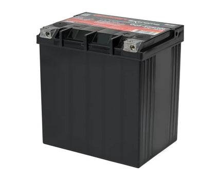 Odyssey Battery Powersport Extreme AGM Battery ODS-AGM30L ODS-AGM30L User 1