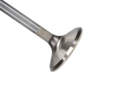 Manley Ford 6.2L 42mm Diameter 5.356in O/A Length Bead Lock Race Master Exhaust Valves (Set of 8) 11611B-8 11611B-8 Photo - Primary